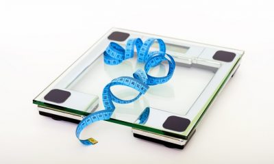 Obesity in Seniors Image